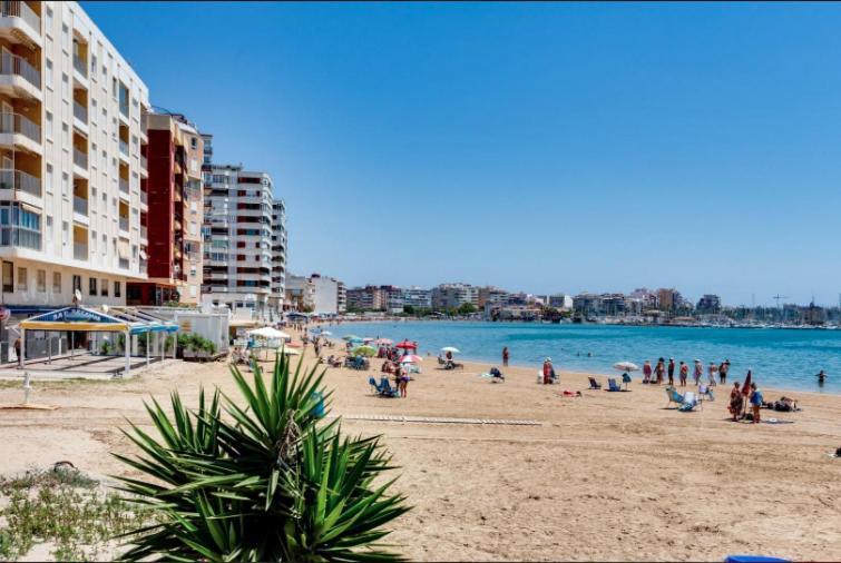 Torreviejaplace المظهر الخارجي الصورة