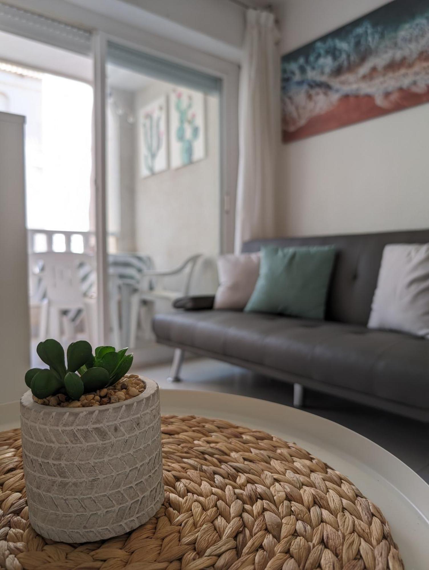 Torreviejaplace المظهر الخارجي الصورة